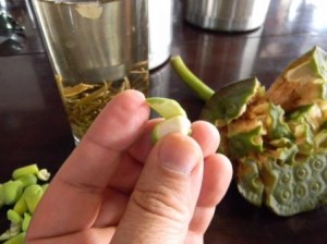 tea and lotus pod